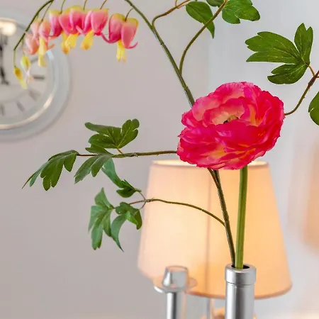 Stunning In With Terrace *